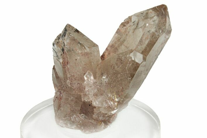 Glassy Smoky Quartz Crystal Cluster - Brazil #255466